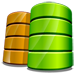 Business Intelligence Services